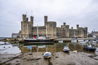 Caernarfon Castle, Caernarfon, Gwynedd, North-West Wales, UK
