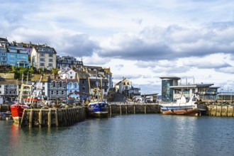 Brixham Hourbour and Brixham Marina, Brixham, Torbay, Devon, England, United Kingdom