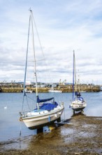 Brixham Hourbour and Brixham Marina, Brixham, Torbay, Devon, England, United Kingdom