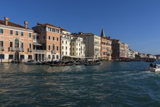 Palazzi on the Grand Canal, gondolas with tourists, Venice, Veneto, Italy