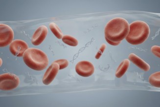 Microscopic scene in the bloodstream: Tiny fragments of mutated cell-free tumour DNA (ctDNA)