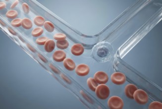 Extreme close-up of microfluidic blood cell sorting, in which an artificial lab-on-a-chip