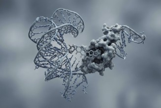 Molecular view of a novel broad-spectrum antiviral agent (molecule) that specifically binds to a