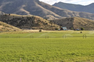 Green, irrigated field in front of a hill area with stray water systems, Unity, Oregon, USA