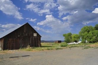 Old wooden barn in an open landscape with clouds in the blue sky, Unity, Oregon, USA