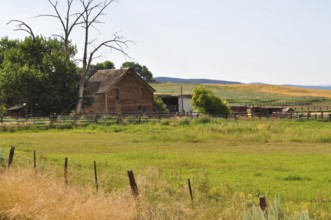 Wooden house on a green field with fences and a tree in rural landscape, Unity, Oregon, USA