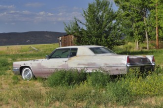 Abandoned old car, Cadillac classic car, in a meadow next to a small wooden building, Unity,