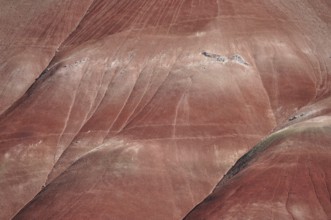 Detailed view of sediment layers and textures of a red hill in the Painted Hills, John Day Fossil