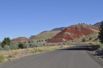 Asphalt road leads through the Painted Hills landscape under clear skies, John Day Fossil Beds