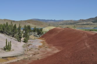 Red hills with trees and a river in a sunny landscape, John Day Fossil Beds National Monument,