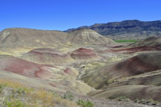 Wide landscape with multicolor hills and blue sky, John Day Fossil Beds National Monument, Painted