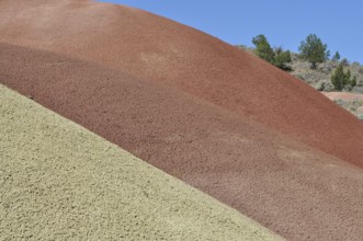 Close-up of multicolor hills with plants, John Day Fossil Beds National Monument, Painted Hills