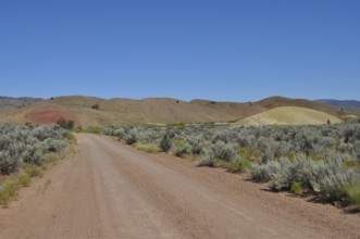 Gravel road in natural setting with hills in background, John Day Fossil Beds National Monument,