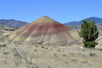 Colourfully patterned hills with intense geological discoloration, clear lines, John Day Fossil