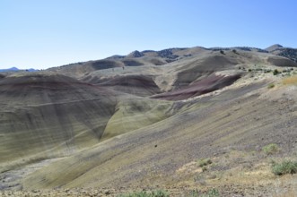 Colorful, eroded hills under clear skies with varied scenery, John Day Fossil Beds National