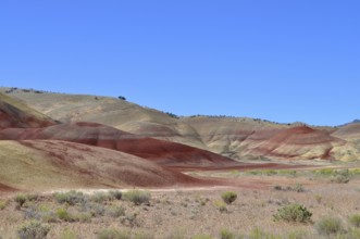 Wide landscape with red hills and sparse vegetation under blue sky, John Day Fossil Beds National