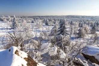 View from Großer Lugstein of the sunny winter landscape with snow-covered trees, bushes, trails and