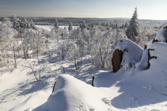View from Kleiner Lugstein of the sunny winter landscape with snow-covered trees, bushes, trails