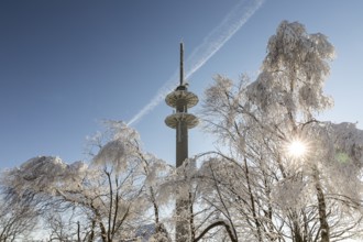 Radio tower on Lugstein, sunny winter landscape with snow-covered trees and branches covered with
