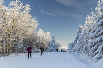 Many skiers are out and about on the trails on the Erzgebirgskamm in Winterwald,
