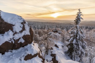 View from Großer Lugstein of the winter landscape with snow-covered trees and branches covered with
