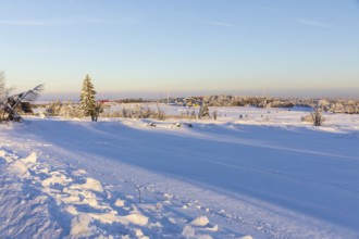 Sunny winter landscape with snow-covered trees, bushes, trails and branches covered with hoarfrost
