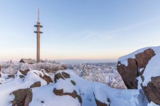 View from Großer Lugstein of the radio tower and the winter landscape with snow-covered trees and