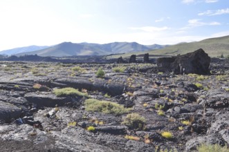 Wide lava plate with scattered vegetation under blue sky, Craters of the Moon National Monument,