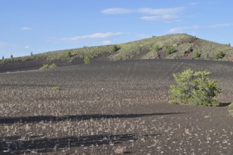 Lava rock covers a hill in this sparse vegetation landscape under blue skies, Craters of the Moon