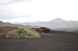 Vegetation grows on dark, volcanic soil under cloudy skies, Craters of the Moon National Monument,