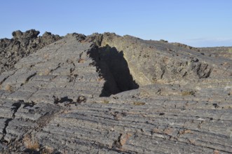 Close-up of a structured, dry lava rock formation with cracks and ridges, Craters of the Moon