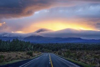 Mount Ngauruhoe in the morning at sunrise with glowing clouds, road SH 47. Tongariro National Park,