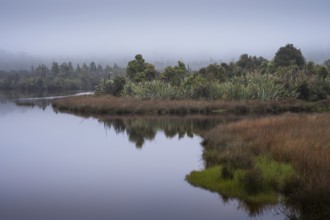 The Okarito Lagoon in fog, a lagoon or wetland. Westland Tai Poutini National Park, West Coast,
