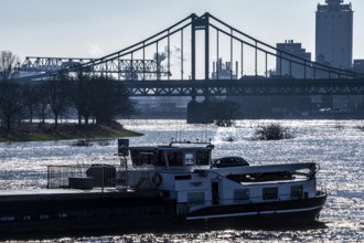 Cargo ship, Krefeld-Uerdinger bridge across the Rhine, near Krefeld-Uerdingen, flood, North