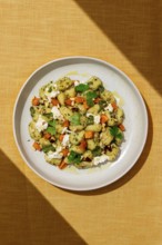 Top view of a gourmet dish featuring Italian gnocchi dressed with green pesto sauce, sprinkled with