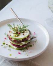 Top view of a delicately assembled gourmet salad, featuring layers of cucumber, radish, and feta