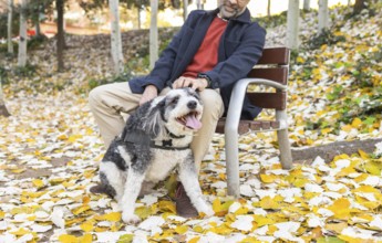 A cropped unrecognizable mature man with a beard is seen bonding with his black and white dog on a
