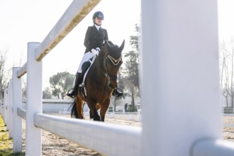From below teenage girl dressed in classic equestrian attire performs dressage on a brown horse in