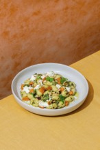 Top view of a savory Italian dish featuring gnocchi with vibrant green pesto, walnuts, parmesan