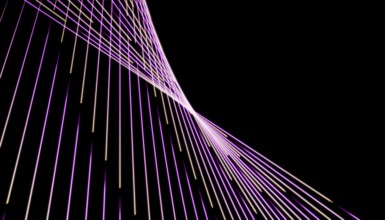 Vibrant purple and pink neon lines form dynamic geometric patterns on a black background. This