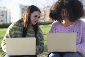 Two friends working on laptops in a park. They are collaborating and engaged, enjoying the sunny