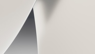 This image features a simplistic and elegant 3D rendered abstract background with smooth white and