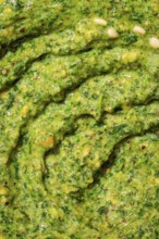 Top view close-up of freshly made pesto sauce showcasing its vibrant green color and texture