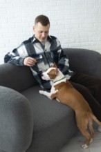 A young man in a plaid shirt sits comfortably on a grey sofa with a brown and white dog resting