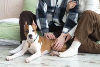 A gentle moment with cropped unrecognizable a man and woman sit together on the floor at home,
