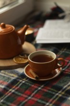Warm autumn scene with a orange teapot and cup arranged on a plaid blanket, accompanied by an open