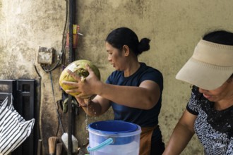 Two women skillfully open a coconut, letting its water drain into a blue bucket. The scene is set