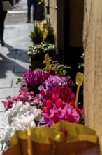 Vibrant pink and white flowers displayed for sale in yellow pots on a sunlit sidewalk, adding a