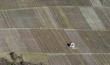 A stunning aerial shot of a Swiss vineyard with neatly arranged rows of grapevines. A small house