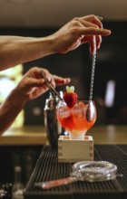 A professional bartender expertly mixes a cocktail in a stylish bar. The scene captures the vibrant